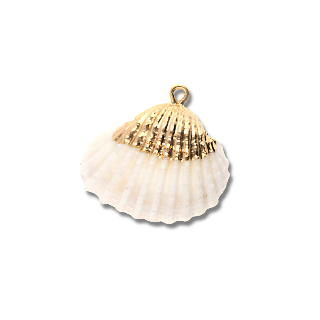 Seashell Treasure Charm
