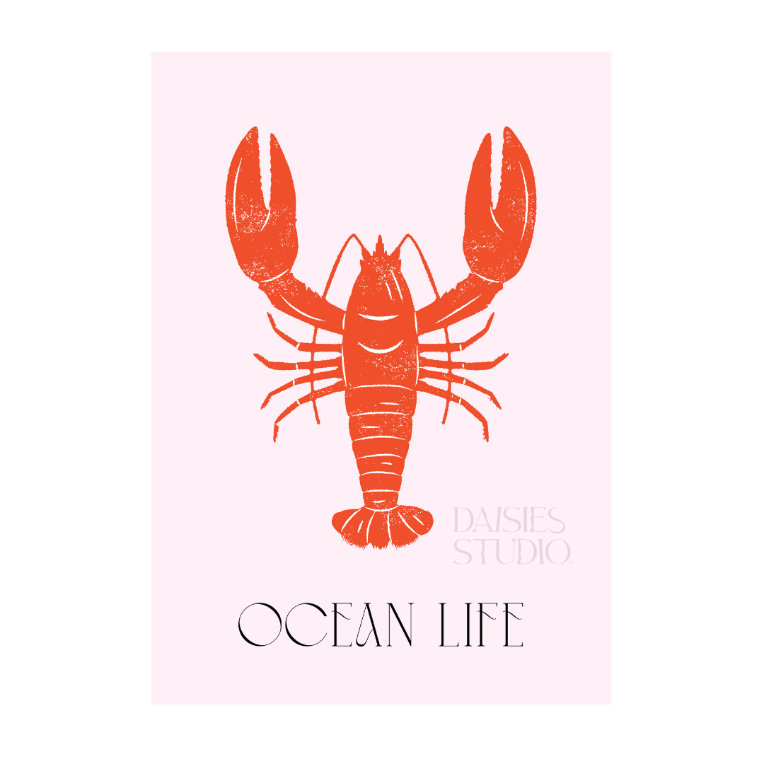 Impression A4 Vie marine