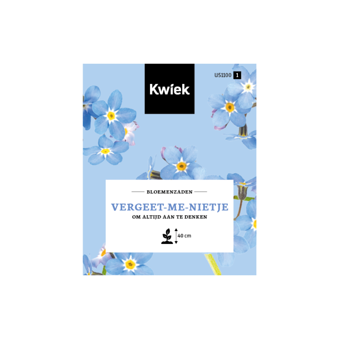 Myosotis - Graines de fleurs