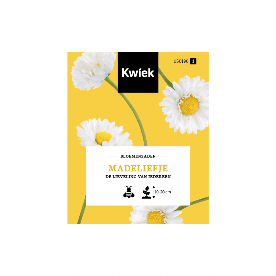 Marguerite - Graines de fleurs